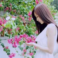 新闻调查寻找中国节观后感细选