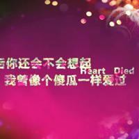 十兄弟读后感二年级50字汇聚