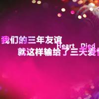 留学生日记的读后感整理