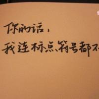 露露爱数字读后感选录