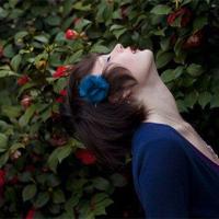 《狼的智慧》简短读后感选录