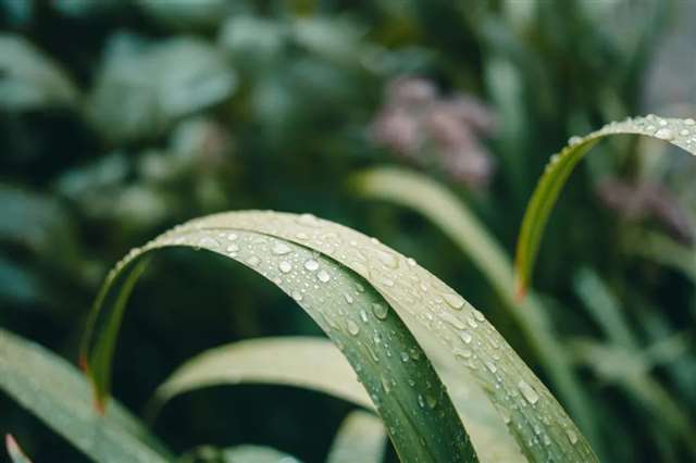 傅雷家书读后感边叙边议精选100条