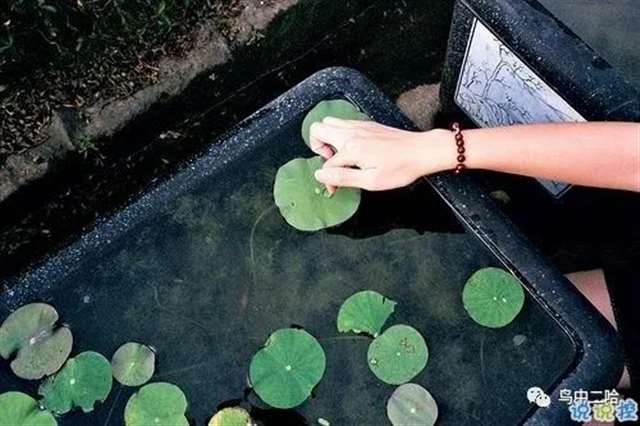 我的礼物在哪的读后感汇聚86句