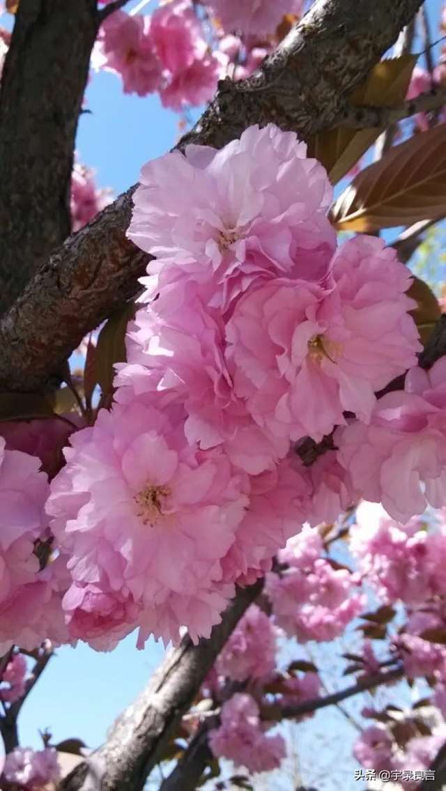 朝九晚五小说读后感细选100句