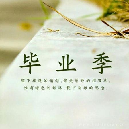 《圆明圆》观后感汇集76句