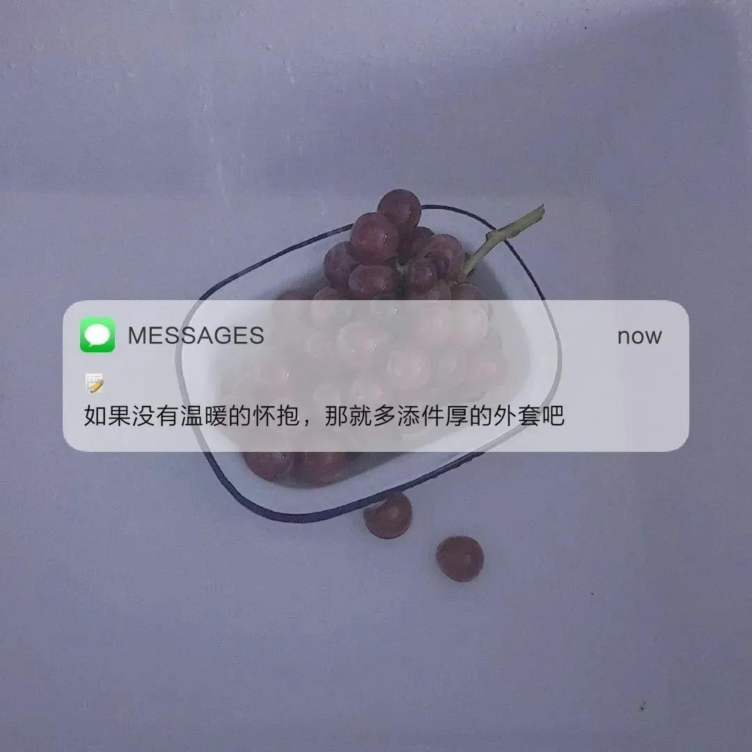 鲁迅猫狗鼠读后感汇集66句