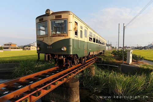 亲情如水读后感400汇编86句