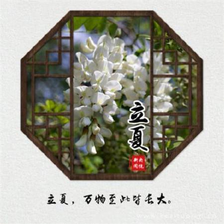 祖国颂读后感征文汇总86句