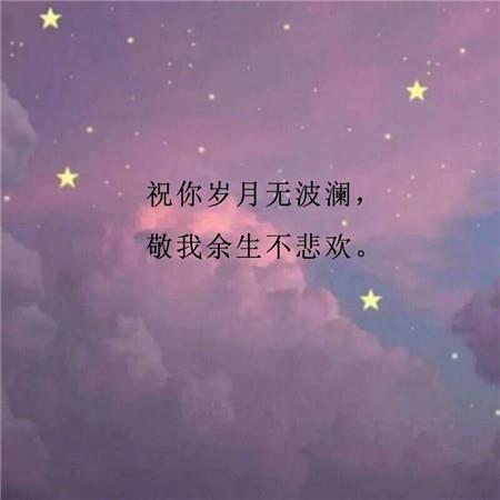 上海王观后感100字精练90句