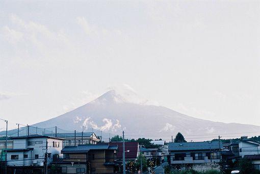 骆驼祥子观后感500字合集60条