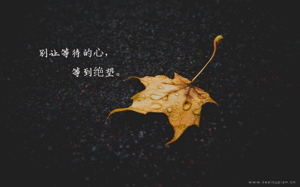 关于《西游记》读后感聚集96条