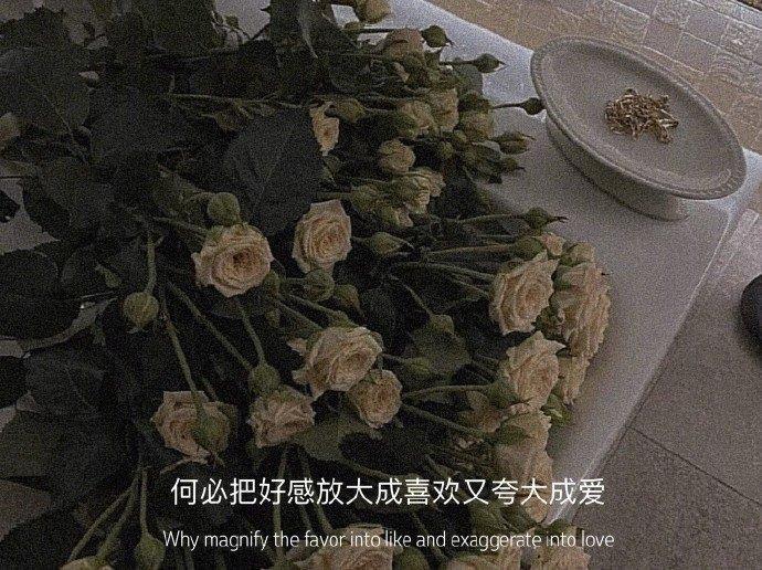 后花园读后感20字锦集66句