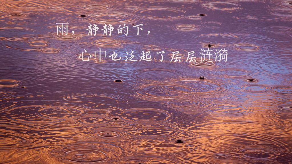 绿野仙踪英文读后感500汇聚90条