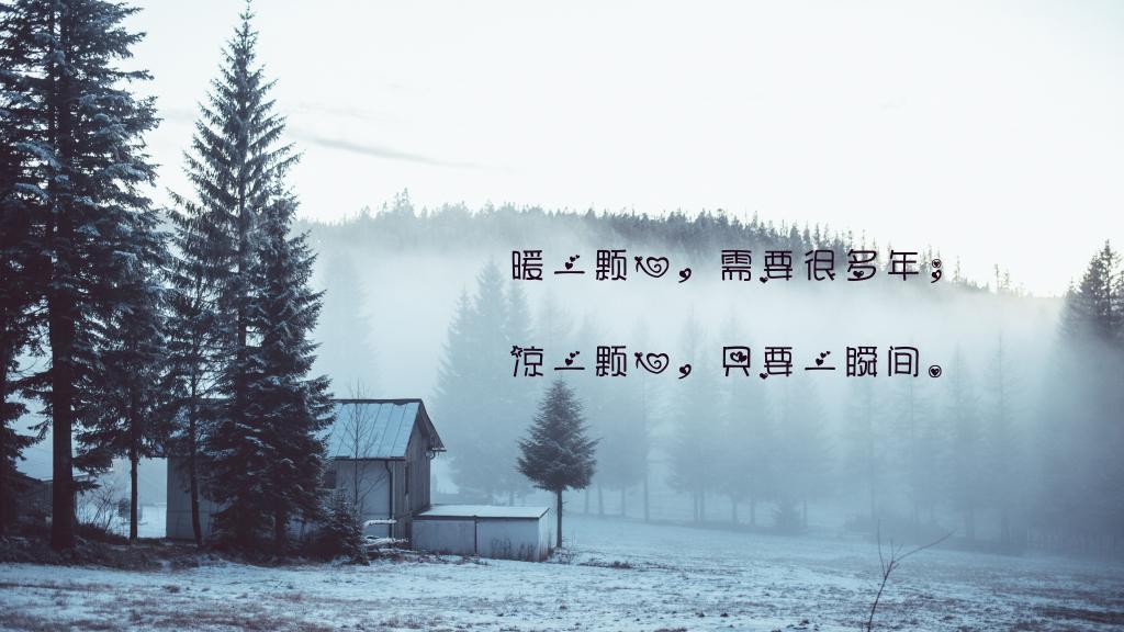 追雪豹敌人观后感集锦90句