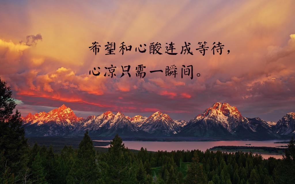 昆虫读后感80字合集80句